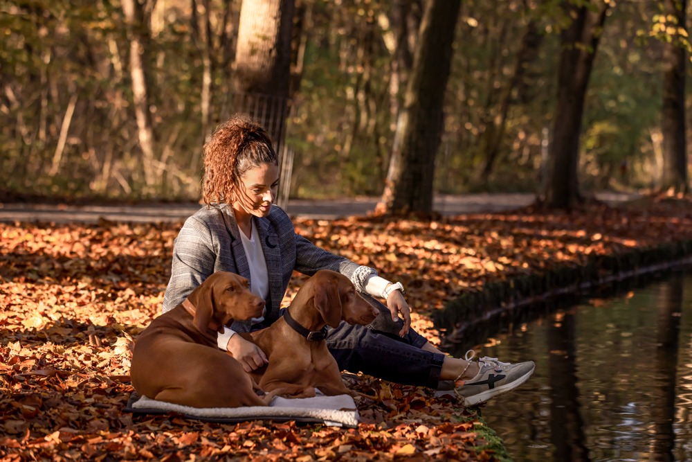 Deckentraining ist ein muss für jede gute Beziehung zwischen Mensch und Hund. Lemira Hundeschule zeigt dir wie.
