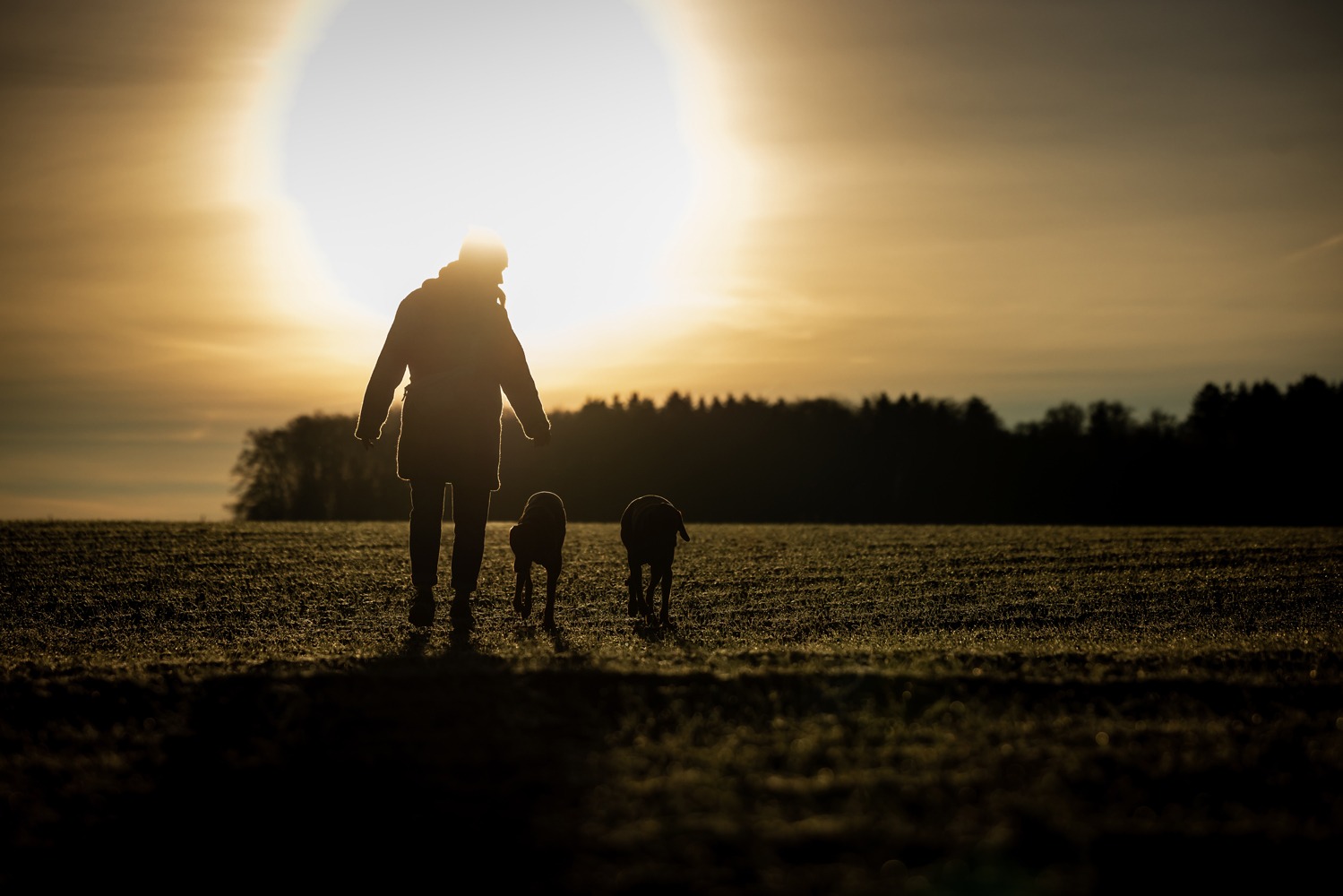 Unsere Hundeschule geht mit dir zusammen, um deinen Alltag mit deinem Hund zu verbessern.